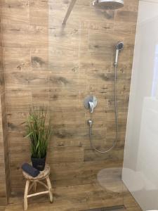 萨图马雷SOLE Apartment 2的带淋浴植物的浴室