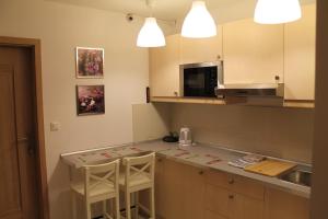克拉科夫库比克旅舍的厨房配有柜台和2把凳子