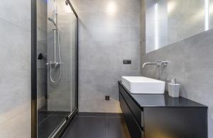 基辅Modern loft style apartment的一间带水槽和淋浴的浴室