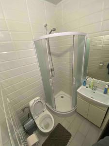 伊万诺-弗兰科夫斯克Ehostel360的带淋浴、卫生间和盥洗盆的浴室