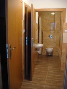 热舒夫Hostel Omega的一间带卫生间和水槽的浴室