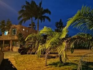 Cabuyal马德普拉塔旅馆的一群棕榈树在房子前面