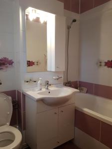 彼得罗沙尼Garsoniera Mihaela的浴室配有盥洗盆、卫生间和浴缸。