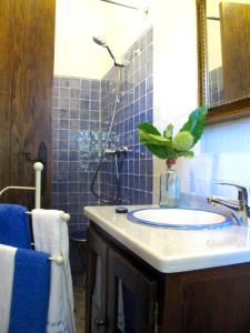 3 bedrooms villa with private pool enclosed garden and wifi at Monesterio的一间浴室