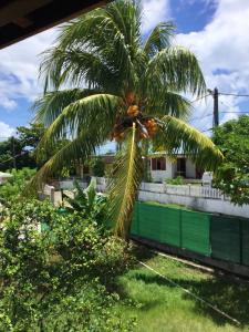 Maison de 2 chambres avec jardin clos et wifi a Le Moule a 2 km de la plage内部或周边的泳池