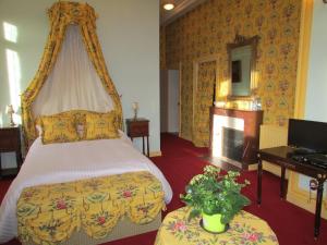 拉苏特兰莱扎城堡住宿加早餐旅馆的酒店客房配有一张床和一个壁炉。