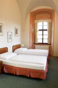 布拉格阿德尔伯特伊寇酒店的带窗户的客房内的两张床
