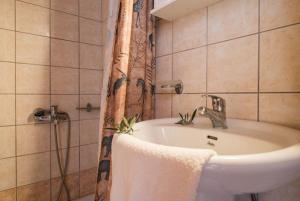 瓦西里科斯雅典娜公寓的一间带水槽和淋浴的浴室