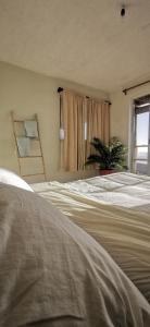 皮奇勒姆Sudeste Hostel的一间卧室设有两张床和一个植物窗户
