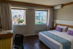 圣保罗法里亚利马品质酒店的酒店客房设有一张床和两个窗户。