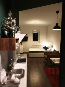 贝尔格莱德Studio Apartment "Savski Trg"的一间带厨房的客厅和一间卧室