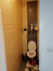 科沃布热格Apartament szafirowa25 pietro1的一间带卫生间和木墙的浴室