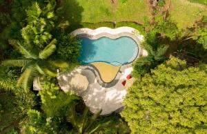 帕沃内斯La Ponderosa的公园内游泳池的空中景观