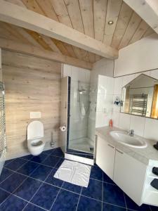 维尔德科格尔山麓布兰贝格AlpenApartment的浴室配有卫生间、淋浴和盥洗盆。