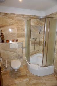 帕蒂赞斯克Penzion Vegas的带淋浴、卫生间和浴缸的浴室