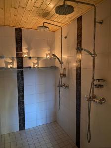 列维Levi Log Cabin - Viprakka 4A的带淋浴的浴室和玻璃门