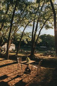 埃斯特角城Cabañas en el Bosque a 5 minutos del mar - Estancia CH的树木繁茂的公园里的野餐桌椅