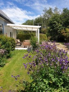 DuntroonWindhaven Bed & Breakfast的一个带凉棚和紫色花的花园