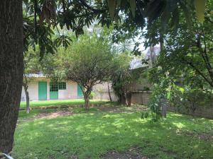 瓜达拉哈拉勒托诺住宿加早餐旅馆的前面有树木的院子的房子