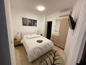 阿拉德ARAD-DEAD SEA BASHIRIS PLACE的一间卧室配有一张床和一台电视