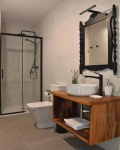奥伦塞Gandarela Turismo Rural的一间带水槽、卫生间和镜子的浴室