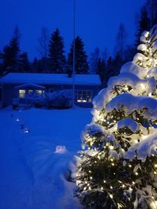 罗瓦涅米Arctic Circle Tranquillity的雪覆盖着一棵圣诞树,上面有灯光