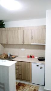 Gornja ToplicaApartman Jevtić 2的厨房配有木制橱柜和白色冰箱。