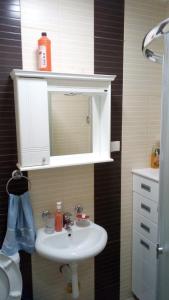 Gornja ToplicaApartman Jevtić 2的浴室设有白色水槽和镜子