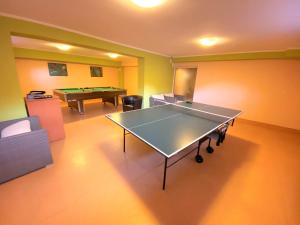 百乐费利克斯Vila Cristal的带台球桌的客房内的乒乓球桌