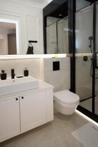 贝尔格莱德Luxury Apartments Donostia & Iruña的白色的浴室设有卫生间和淋浴。