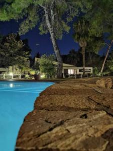 撒尼海滩Sani Villa Maria的一座树木繁茂的夜间游泳池