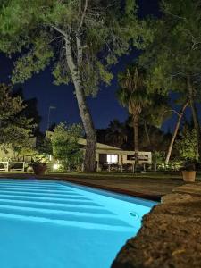 撒尼海滩Sani Villa Maria的蓝色的游泳池,后面有树