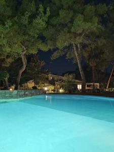 撒尼海滩Sani Villa Maria的一座树木繁茂的大型游泳池