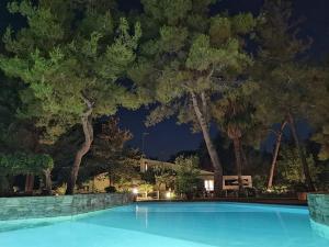 撒尼海滩Sani Villa Maria的树木繁茂的游泳池