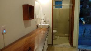 弗洛里亚诺波利斯Green Lodge Eco Life Hotel的一间带水槽、卫生间和淋浴的浴室