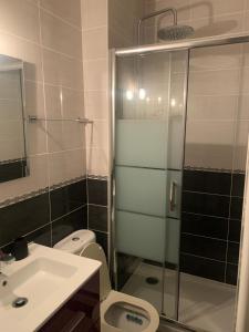 枫丹白露Appartement centre Fontainebleau的带淋浴、卫生间和盥洗盆的浴室