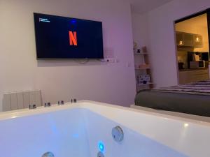 第戎Le Nid de la Chouette - Gare & Cité by Apparts Spa Dijon的一间带浴缸的浴室,墙上配有电视