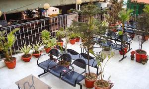 加尔各答Shila International的一组椅子坐在植物阳台