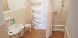 格尔利茨祖姆霍托特伽尼酒店的一间带水槽和淋浴的小浴室