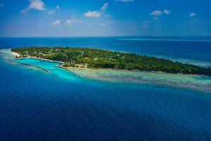 OmadhooTurtle Maldives - Your Gateway to the Beach & Marine Adventures Await!的海洋岛屿的空中景观