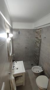 马德普拉塔Departamento centro mdp calle belgrano的一间带水槽、卫生间和淋浴的浴室