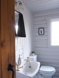 斯特拉西尔Hillside Log cabin, Ardoch Lodge, Strathyre的白色的浴室设有卫生间和水槽。