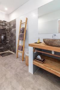 卡朗阿森Villa Palmdream的一间带水槽、淋浴和梯子的浴室