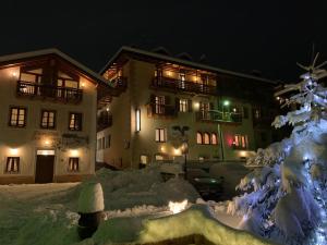 圣洛伦佐因巴纳莱圣洛林佐酒店的一群晚上有雪覆盖的树的建筑