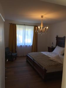 萨尔察赫河畔戈灵Ferienwohnung Neureiter的一间卧室配有一张床和一个吊灯