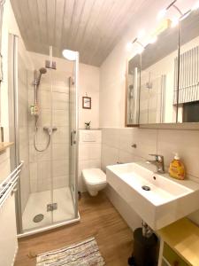 蒂蒂湖-新城Ferienhaus Robin的带淋浴、盥洗盆和卫生间的浴室