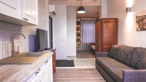 哈普萨卢Õhtu Apartments的厨房以及带沙发和水槽的起居室。