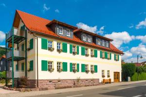 Kurort Steinbach-HallenbergStaimicher Höhen - Premium Appartements的一座带绿色百叶窗的大型白色建筑
