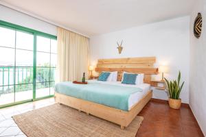 拉哈雷斯Surfescape Fuerteventura的一间卧室设有一张床和一个大窗户