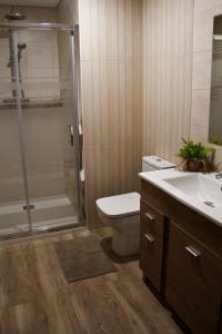 阿穆里奥Mendiko Baserria的浴室配有卫生间、淋浴和盥洗盆。